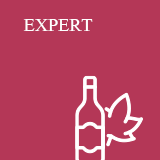 ���ֻ���濡 ������ �׷����ִ� �Ϸ���Ʈ